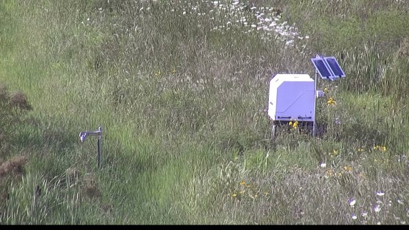 capture-6-23-07-31_17-23-21-19