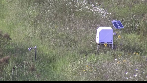 capture-6-23-07-31_17-47-11-33