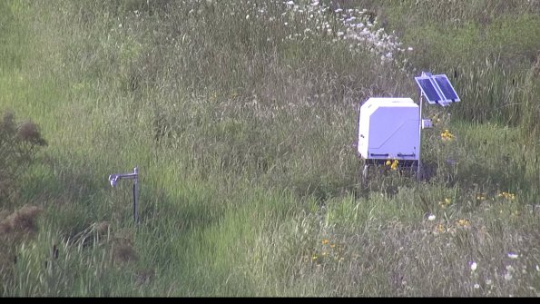 capture-6-23-07-31_18-39-10-96