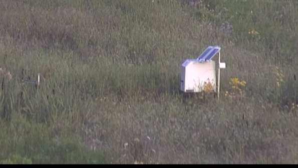 capture-4-23-08-03_07-19-33-43