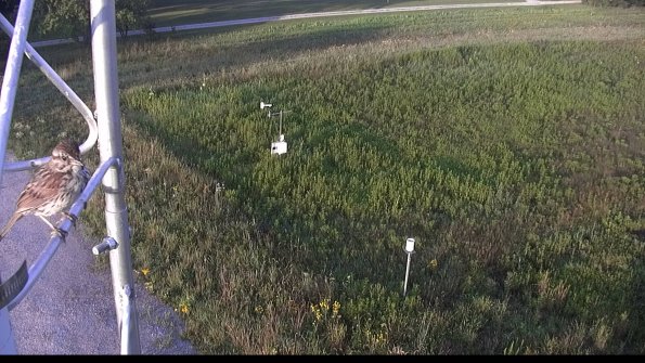 capture-1-23-08-04_07-24-32-09