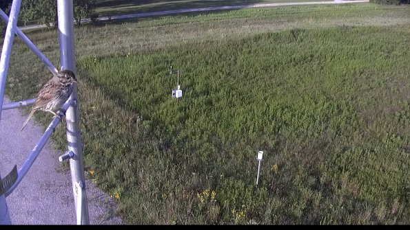 capture-1-23-08-04_08-10-01-90