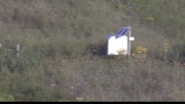 capture-4-23-08-04_07-53-14-29