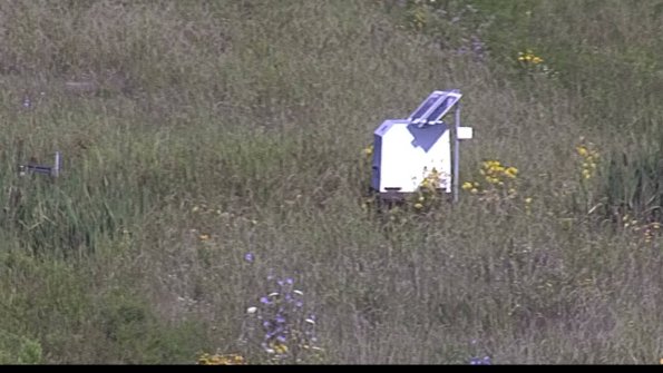 capture-4-23-08-04_09-13-25-29