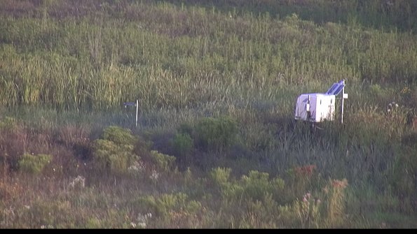 capture-5-23-08-04_07-14-23-31