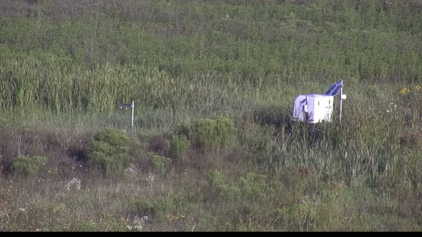 capture-5-23-08-04_08-10-43-34