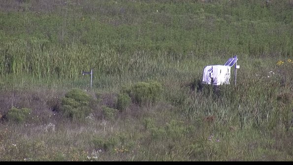 capture-5-23-08-04_09-07-03-77