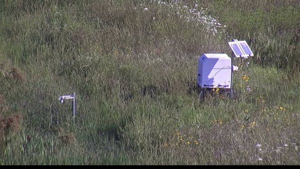 capture-6-23-08-04_09-11-33-35