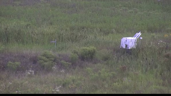 capture-5-23-08-05_16-18-14-52