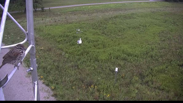 capture-1-23-08-06_08-24-34-28