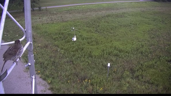 capture-1-23-08-06_08-26-44-52