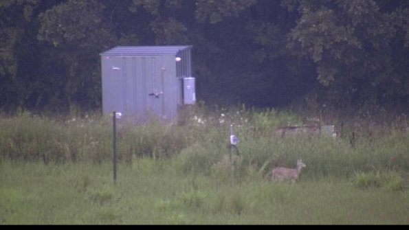 capture-2-23-08-06_07-04-37-40