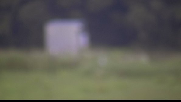 capture-2-23-08-06_07-26-17-85