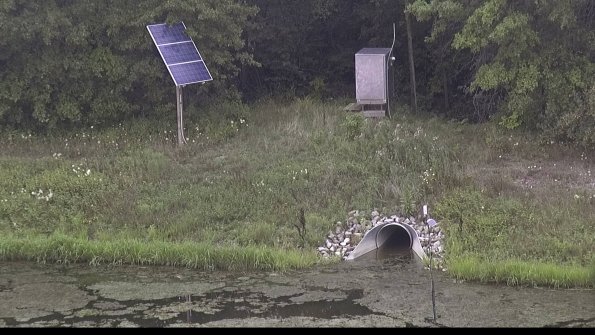 capture-3-23-08-06_11-22-53-61