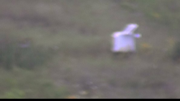 capture-4-23-08-06_07-28-46-53