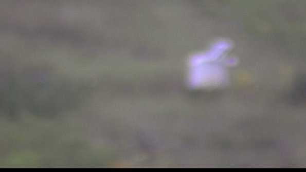 capture-4-23-08-06_08-27-16-48