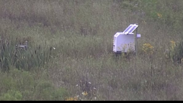 capture-4-23-08-06_08-31-37-24