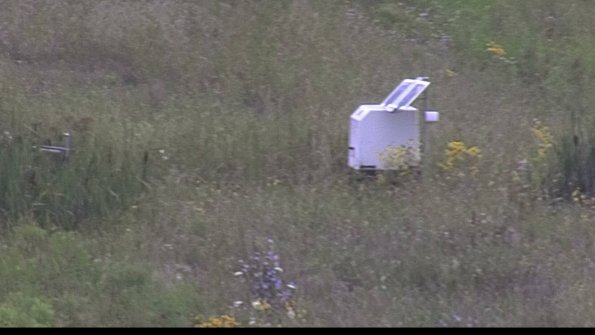 capture-4-23-08-06_11-18-46-26