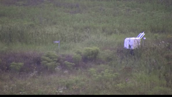 capture-5-23-08-06_07-11-36-19