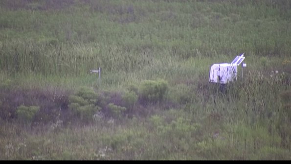 capture-5-23-08-06_07-26-45-67