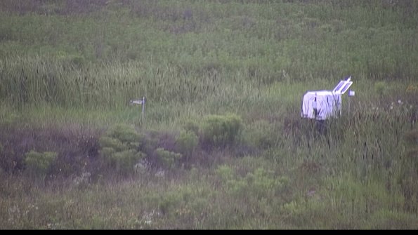 capture-5-23-08-06_07-28-56-00