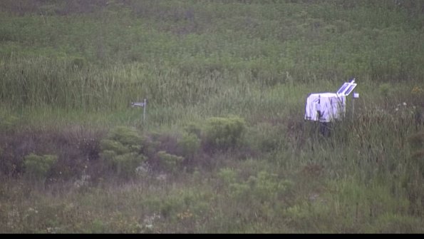 capture-5-23-08-06_08-10-06-28