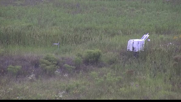 capture-5-23-08-06_11-18-54-47