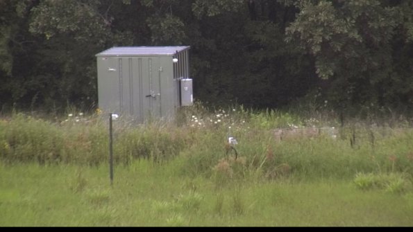 capture-2-23-08-07_13-16-41-95