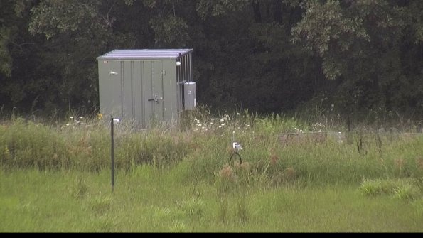 capture-2-23-08-07_14-21-41-64