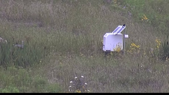 capture-4-23-08-07_10-01-20-13