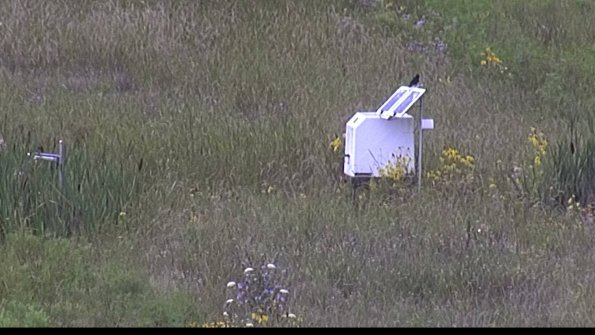 capture-4-23-08-07_14-11-11-17