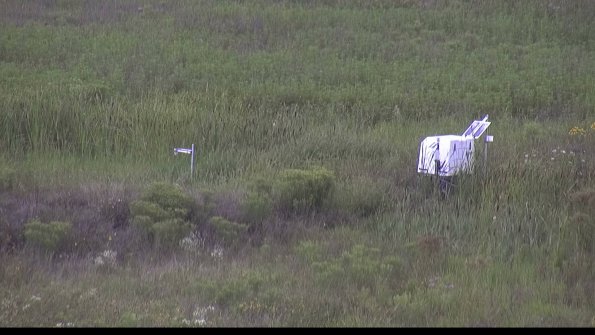 capture-5-23-08-07_14-13-29-94