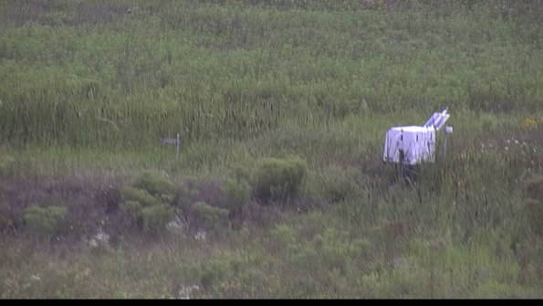 capture-5-23-08-07_14-20-00-24