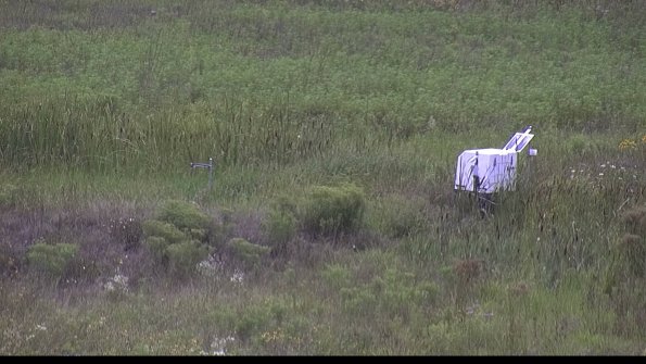 capture-5-23-08-07_14-24-19-80