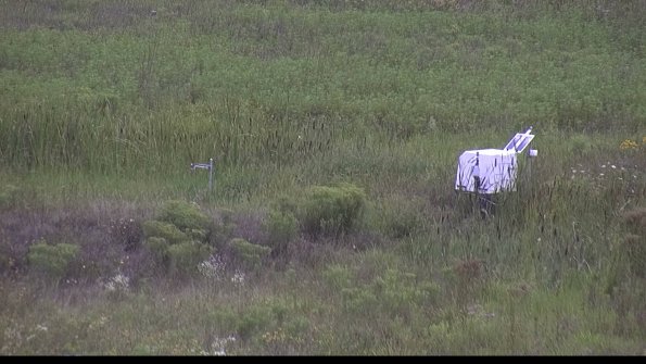 capture-5-23-08-07_14-59-00-06