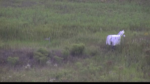 capture-5-23-08-07_15-22-49-63