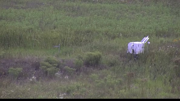 capture-5-23-08-07_15-25-00-19