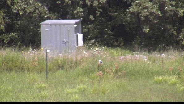 capture-2-23-08-08_13-57-52-77