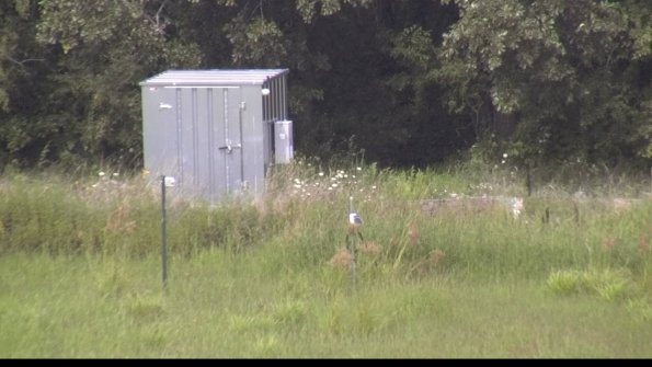 capture-2-23-08-08_15-39-42-54