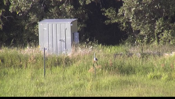 capture-2-23-08-08_18-46-48-65