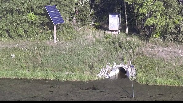 capture-3-23-08-08_19-04-17-10