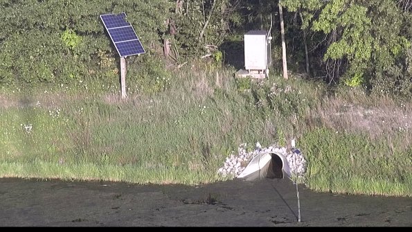 capture-3-23-08-08_19-41-06-85