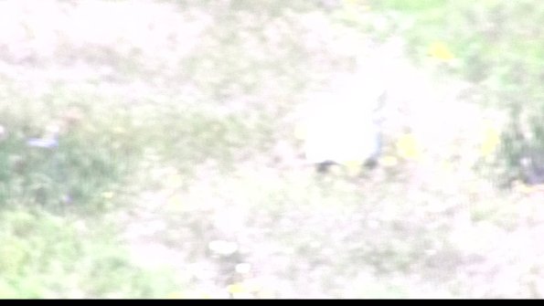 capture-4-23-08-08_13-17-00-64