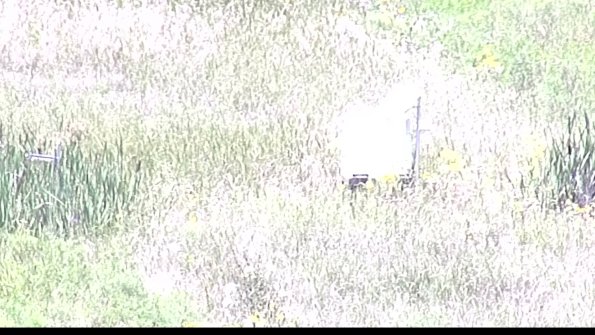 capture-4-23-08-08_13-21-20-47