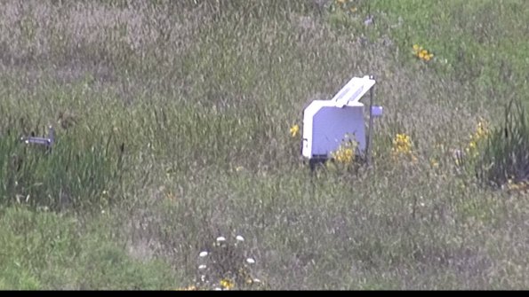 capture-4-23-08-08_15-01-01-71