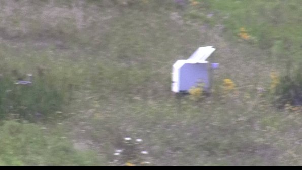 capture-4-23-08-08_15-07-31-53