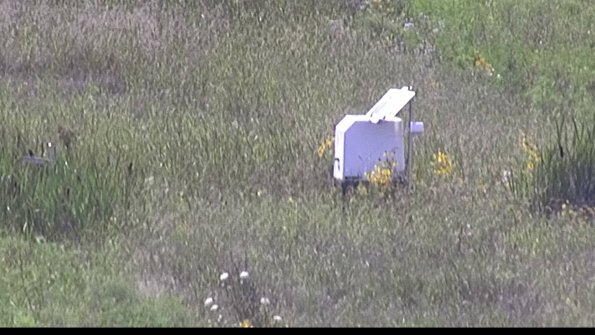 capture-4-23-08-08_16-23-21-83