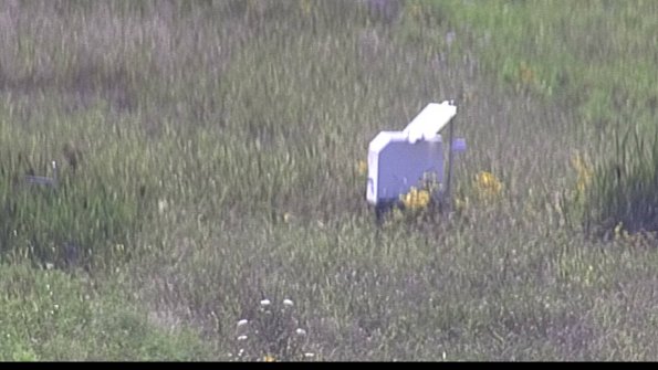 capture-4-23-08-08_16-58-01-72