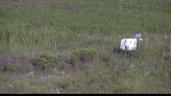 capture-5-23-08-08_09-19-24-88