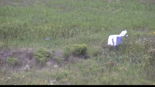 capture-5-23-08-08_13-45-20-98